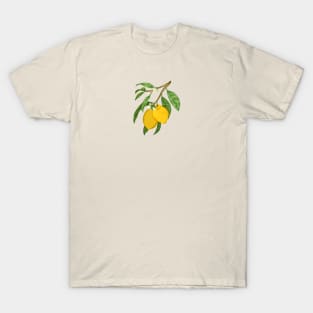 Lemon Botanical T-Shirt